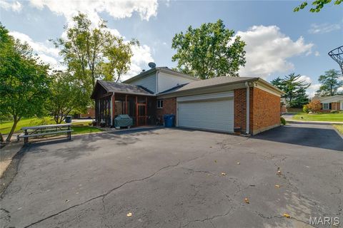 Tiny photo for 224 Brayhill Court, Chesterfield, MO 63017 (MLS # 25069147)