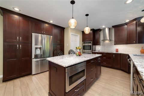Tiny photo for 224 Brayhill Court, Chesterfield, MO 63017 (MLS # 25069147)