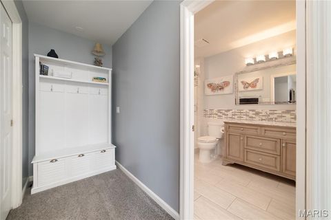 Tiny photo for 224 Brayhill Court, Chesterfield, MO 63017 (MLS # 25069147)