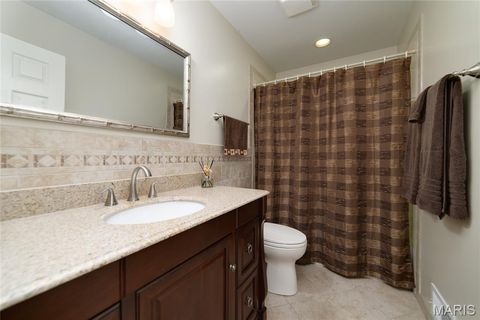 Tiny photo for 224 Brayhill Court, Chesterfield, MO 63017 (MLS # 25069147)