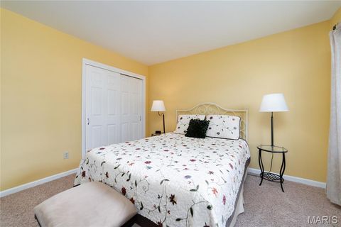 Tiny photo for 224 Brayhill Court, Chesterfield, MO 63017 (MLS # 25069147)
