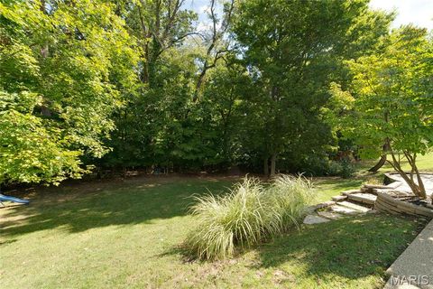Tiny photo for 224 Brayhill Court, Chesterfield, MO 63017 (MLS # 25069147)