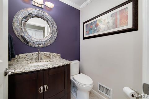 Tiny photo for 224 Brayhill Court, Chesterfield, MO 63017 (MLS # 25069147)