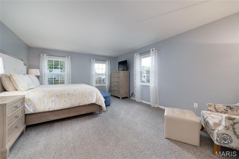 Tiny photo for 224 Brayhill Court, Chesterfield, MO 63017 (MLS # 25069147)