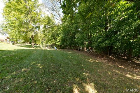 Tiny photo for 224 Brayhill Court, Chesterfield, MO 63017 (MLS # 25069147)