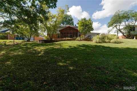 Tiny photo for 224 Brayhill Court, Chesterfield, MO 63017 (MLS # 25069147)