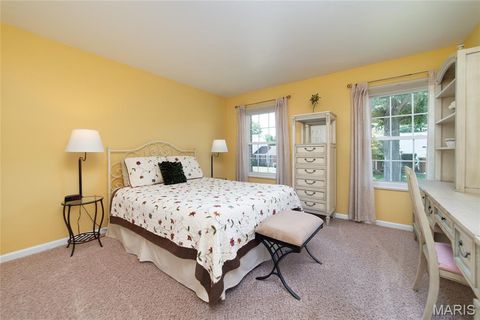 Tiny photo for 224 Brayhill Court, Chesterfield, MO 63017 (MLS # 25069147)