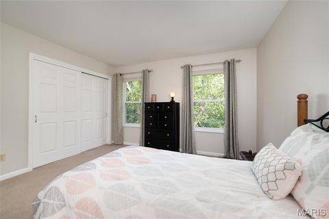 Tiny photo for 224 Brayhill Court, Chesterfield, MO 63017 (MLS # 25069147)