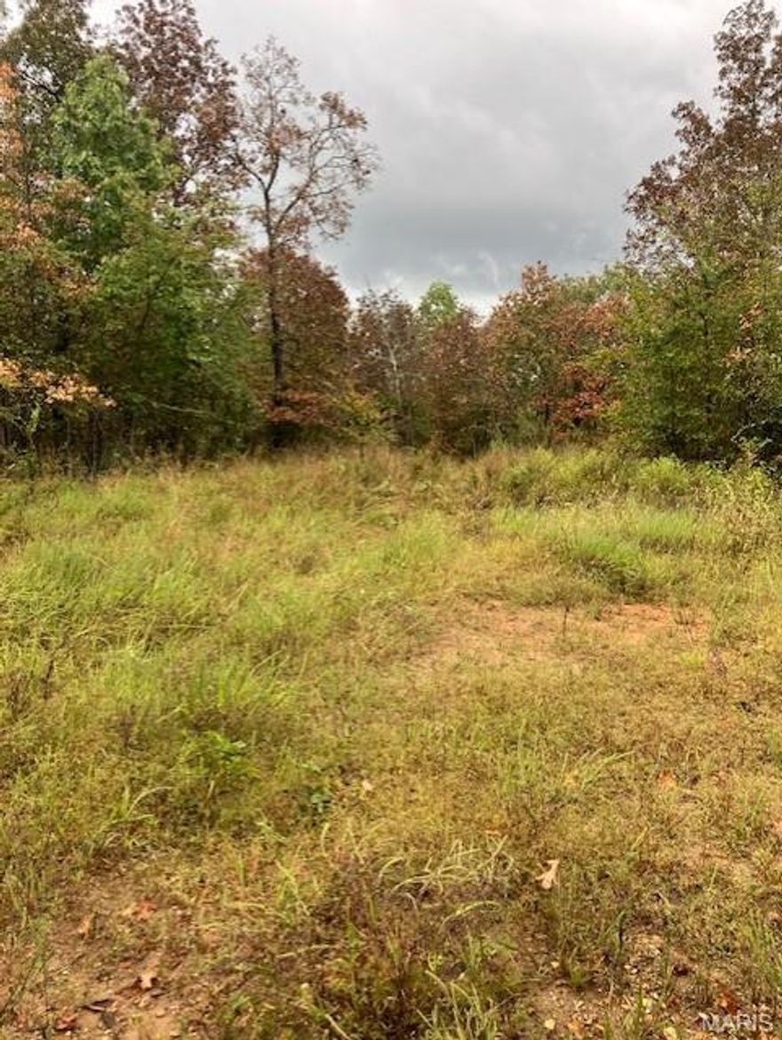 Wooded rural acreage with access to a shared spring-fed stream and within a mile of Mark Twain National Forest ... it doesn't get much better. It's a landowner's dream come true. 
This affordable Ozark oasis comes with NO restrictions. And there's a nice wide deeded easement gravel road leading from the county road to your property.
Hunt, camp, build, ride ATVs on your own land, or fish or play in the shared creek section. The opportunities are endless.
This property is wooded and rolling. You are within a mile of the 22,176-acre Mark Twain National Forest ... public ground where you can also hunt, ride and explore. All this, and only about 2 miles by road from U.S. 67 for quick and easy access.
Use this great 74 acres as a base camp for adventure. This and surrounding land is teeming with deer, turkey and small game, and the occasional feral hog or maybe a black bear. 
Ownership comes with access to a 3-acre shared stretch of the magnificent 12 Mile Creek and gravel bar.