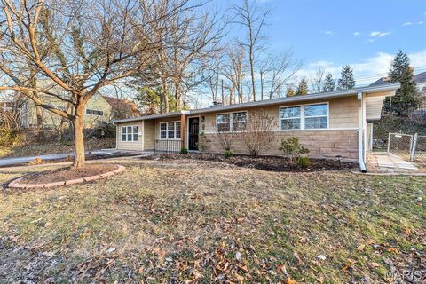 Photo of 621 Crest Court, Kirkwood, MO 63122 (MLS # 26008445)