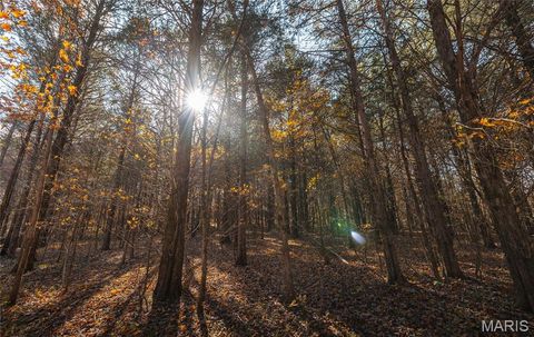 Tiny photo for 0 Highway 21 Lot 1, Lesterville, MO 63654 (MLS # 26020595)