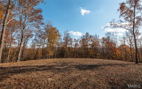Tiny photo for 0 Highway 21 Lot 1, Lesterville, MO 63654 (MLS # 26020595)