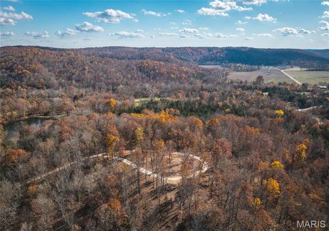Tiny photo for 0 Highway 21 Lot 1, Lesterville, MO 63654 (MLS # 26020595)