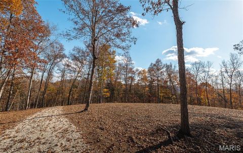 Tiny photo for 0 Highway 21 Lot 1, Lesterville, MO 63654 (MLS # 26020595)