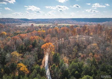 Tiny photo for 0 Highway 21 Lot 1, Lesterville, MO 63654 (MLS # 26020595)