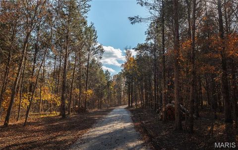 Tiny photo for 0 Highway 21 Lot 1, Lesterville, MO 63654 (MLS # 26020595)