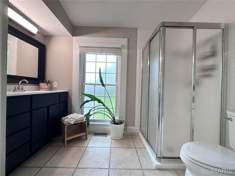 Tiny photo for 319 N Gore Avenue, Webster Groves, MO 63119 (MLS # 26026130)