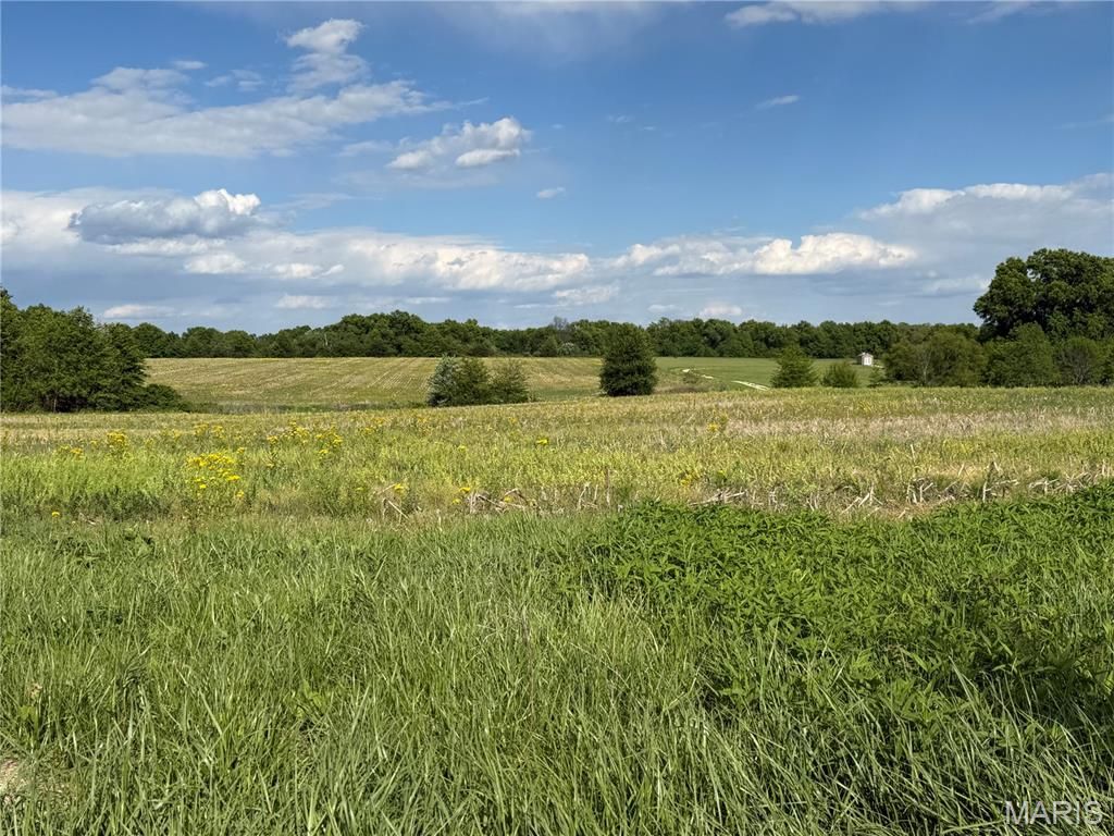 Photo of 0 Cemetery Rd, Wellsville, MO 63384 (MLS # 26027027)