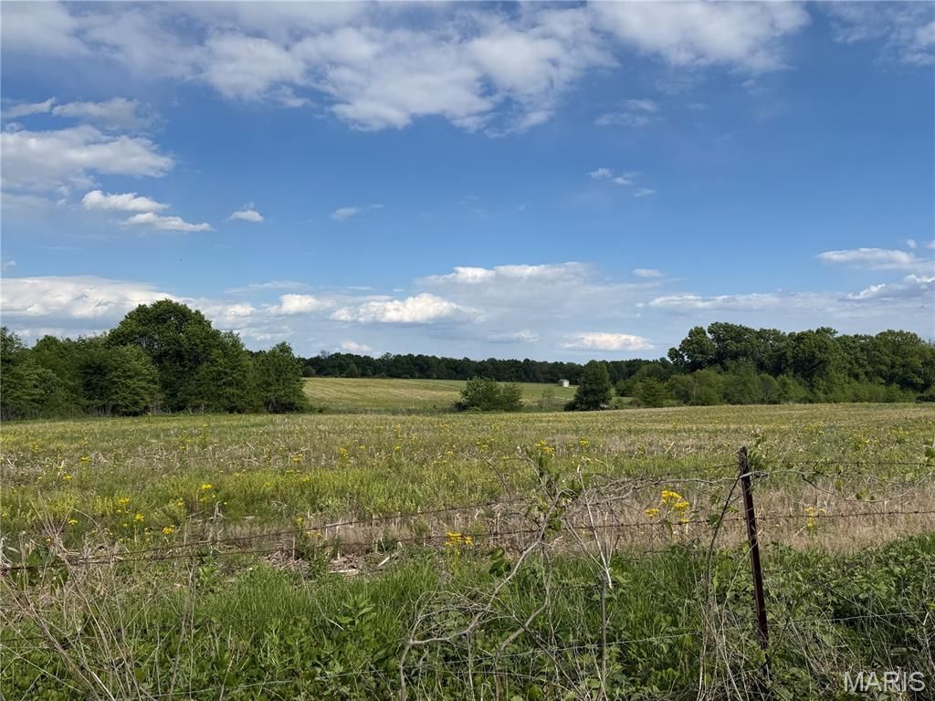 Photo of 0 Cemetery Rd, Wellsville, MO 63384 (MLS # 26027027)