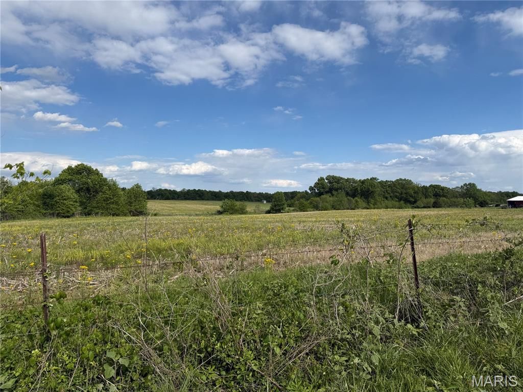 Photo of 0 Cemetery Rd, Wellsville, MO 63384 (MLS # 26027027)