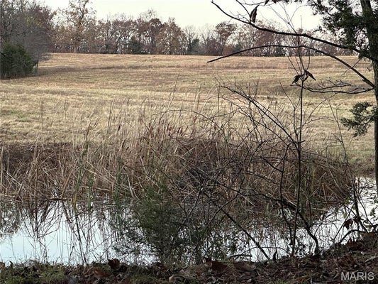 0 PUMPSTATION ROAD TRACT # 5, ROSEBUD, MO 63091 - Image fe2405741a97fa2e381ea7d5cdb0ebae/3736912640