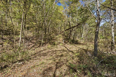 Tiny photo for 00 Hwy EE, Owensville, MO 65066 (MLS # 26069213)