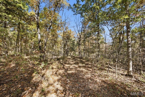 Tiny photo for 00 Hwy EE, Owensville, MO 65066 (MLS # 26069213)