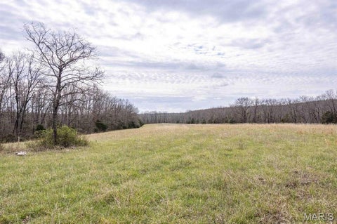 Tiny photo for 00 Hwy EE, Owensville, MO 65066 (MLS # 26069213)