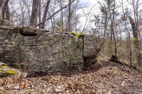 Tiny photo for 00 Hwy EE, Owensville, MO 65066 (MLS # 26069213)