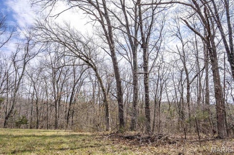 Tiny photo for 00 Hwy EE, Owensville, MO 65066 (MLS # 26069213)