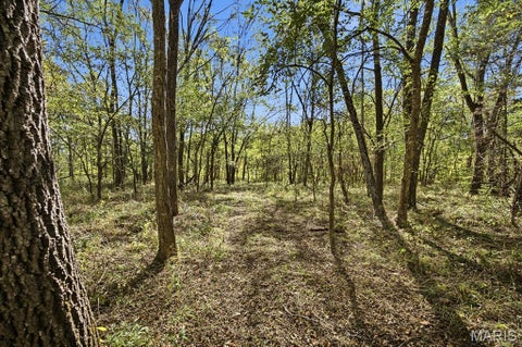 Tiny photo for 00 Hwy EE, Owensville, MO 65066 (MLS # 26069213)