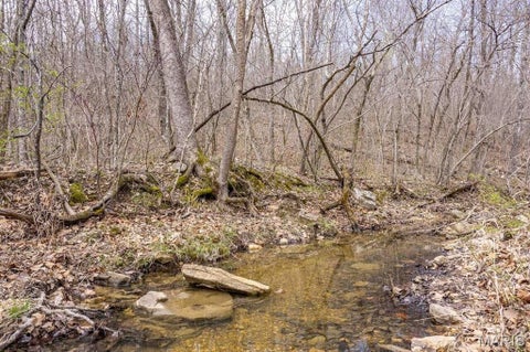Tiny photo for 00 Hwy EE, Owensville, MO 65066 (MLS # 26069213)