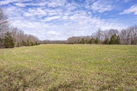 Tiny photo for 00 Hwy EE, Owensville, MO 65066 (MLS # 26069213)