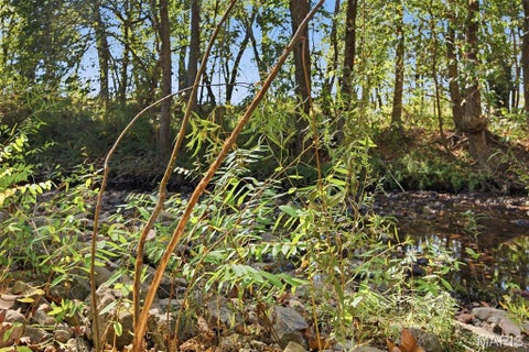 Tiny photo for 00 Hwy EE, Owensville, MO 65066 (MLS # 26069213)