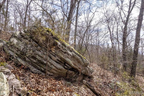 Tiny photo for 00 Hwy EE, Owensville, MO 65066 (MLS # 26069213)