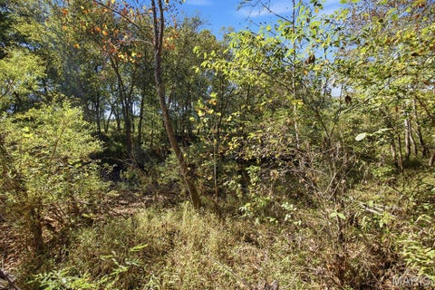 Tiny photo for 00 Hwy EE, Owensville, MO 65066 (MLS # 26069213)