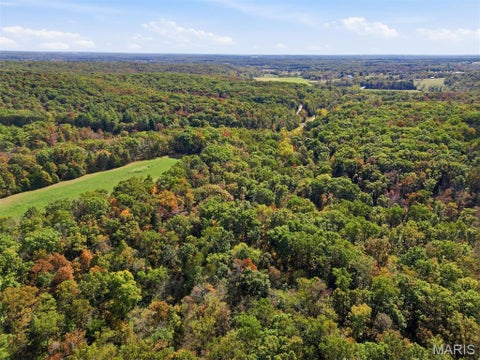 Tiny photo for 00 Hwy EE, Owensville, MO 65066 (MLS # 26069213)