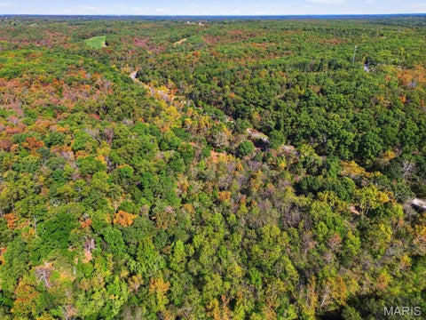 Tiny photo for 00 Hwy EE, Owensville, MO 65066 (MLS # 26069213)