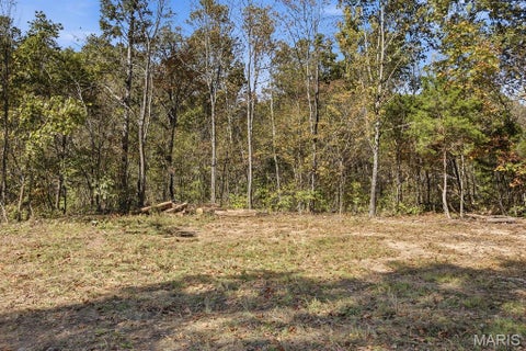 Tiny photo for 00 Hwy EE, Owensville, MO 65066 (MLS # 26069213)