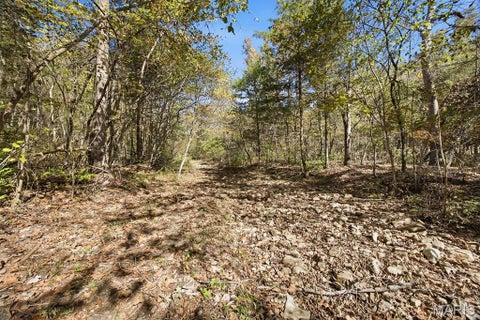 Tiny photo for 00 Hwy EE, Owensville, MO 65066 (MLS # 26069213)