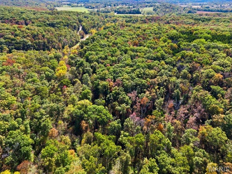 Tiny photo for 00 Hwy EE, Owensville, MO 65066 (MLS # 26069213)