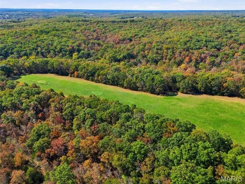 Tiny photo for 00 Hwy EE, Owensville, MO 65066 (MLS # 26069213)
