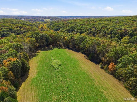 Tiny photo for 00 Hwy EE, Owensville, MO 65066 (MLS # 26069213)