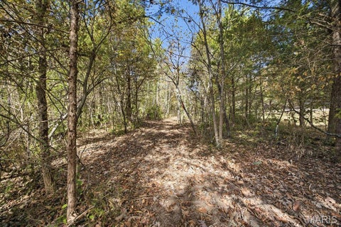Tiny photo for 00 Hwy EE, Owensville, MO 65066 (MLS # 26069213)