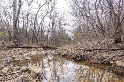 Tiny photo for 00 Hwy EE, Owensville, MO 65066 (MLS # 26069213)