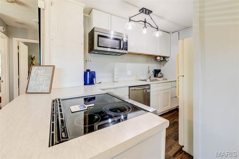 Tiny photo for 245 Commerce Avenue, Kirkwood, MO 63122 (MLS # 26040461)
