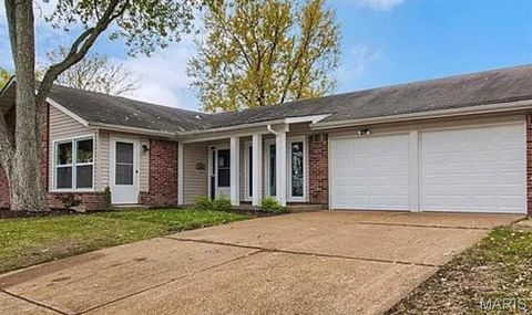Photo of 695 Henry Avenue, Ballwin, MO 63011 (MLS # 25068511)