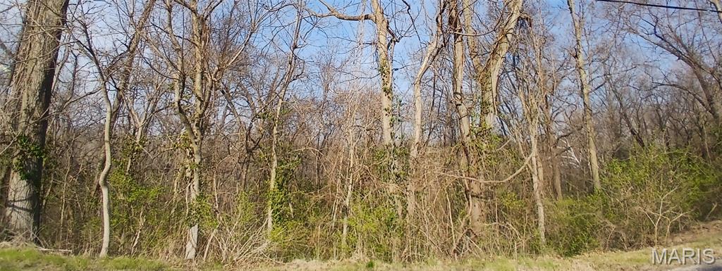 Photo 1 of 1 — APN Briggs Street, Edwardsville, IL 62025