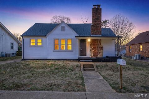 Photo of 313 S Carleton Street, Farmington, MO 63640 (MLS # 26011411)
