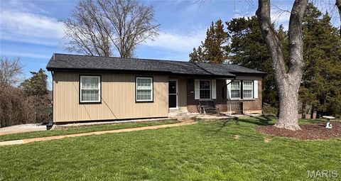 Photo of 17 Ridgemoor Drive, Fenton, MO 63026 (MLS # 26018073)